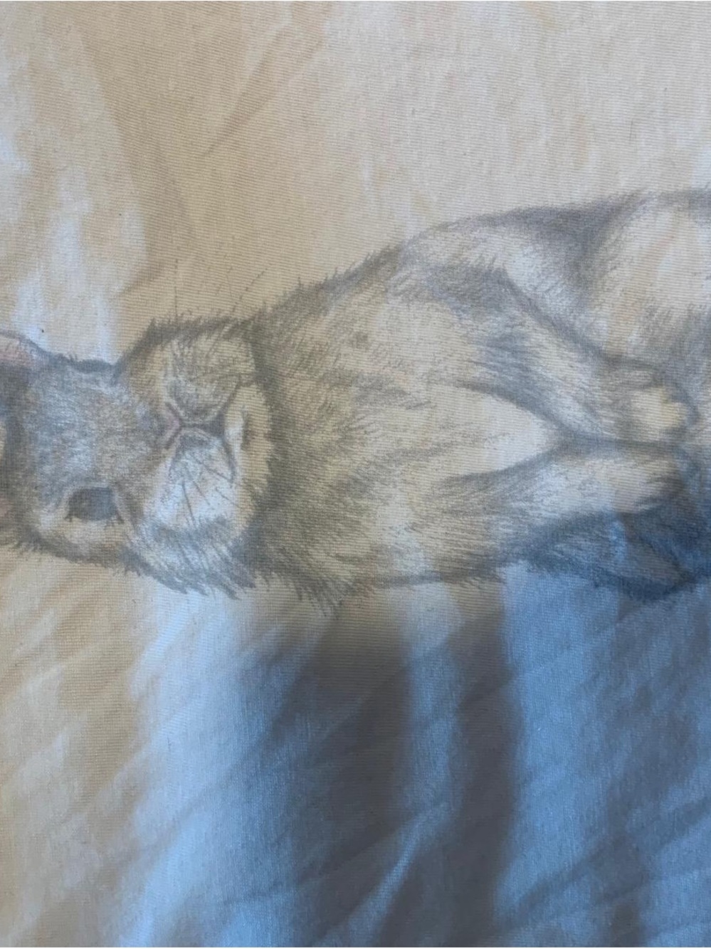 Gray Rabbit Illustration Pet Tee - Unbranded
